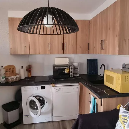 Apartmán T2 Renove Avec Piscine Et Parking A 50m De La Plage, Wifi Gratuite - Fr-1-607-91 Agde