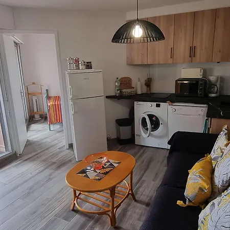 Appartement T2 Rénové Avec Piscine, Parking Privé, Proche Et Commerces - Fr-1-607-91