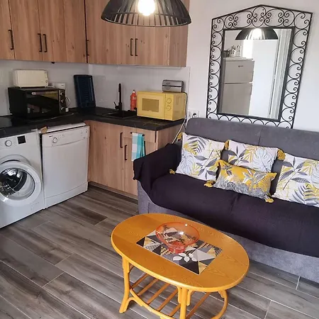 T2 Renove Avec Piscine Et Parking A 50m De La Plage, Wifi Gratuite - Fr-1-607-91 Lejlighed
